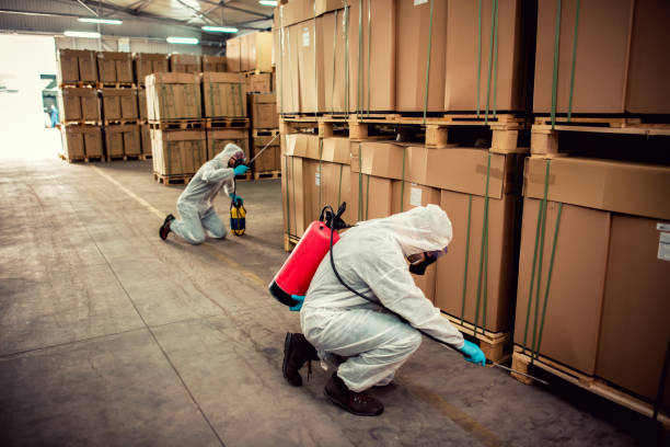 Best Emergency Pest Control  in Abram, TX