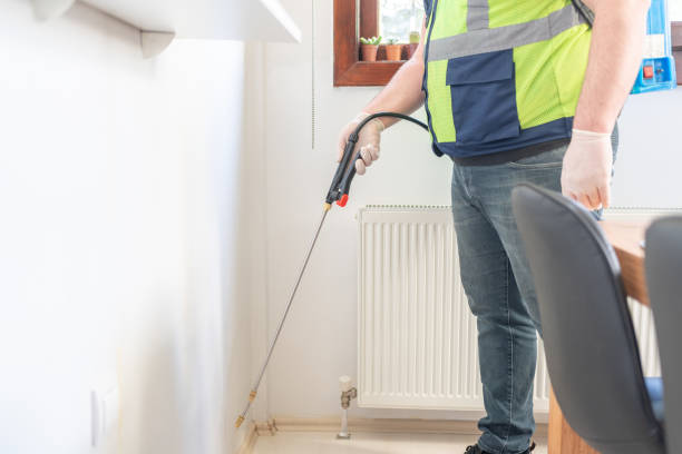 Flea Control Services in Abram, TX