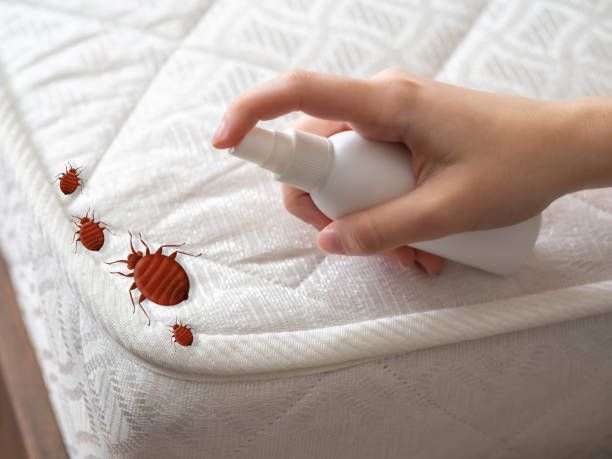 Best Best Pest Control Companies  in Abram, TX