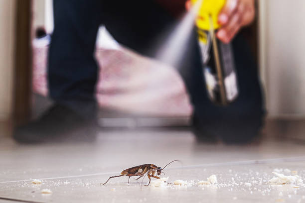 Best Pest Control for Homes  in Abram, TX