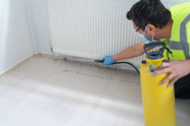 Best Bed Bug Extermination  in Abram, TX