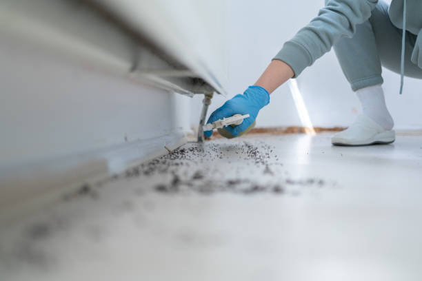 Best Pest Removal Services  in Abram, TX